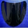 CUPULA DOBLE BURBUJA NEGRA HONDA CBR 900 RR 954 02 03
