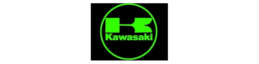 kawasaki 